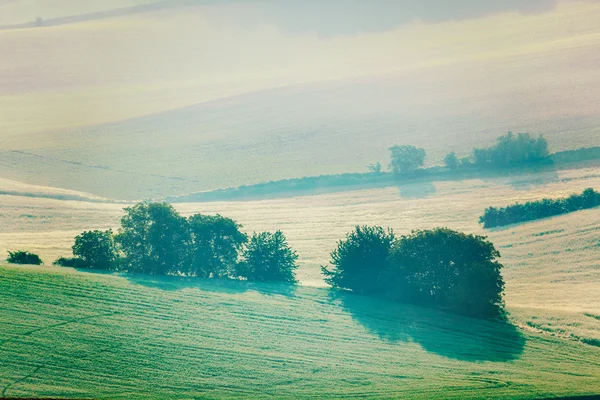 Morawska toczenia pola rano mgły — Zdjęcie stockowe