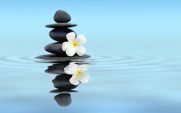 Zen stones with frangipani — Stock Photo, Image