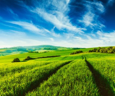 Moravia, yeşil alanlar