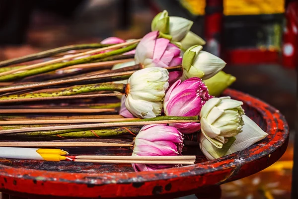 Flores de loto utilizadas como ofrenda en el templo budista —  Fotos de Stock