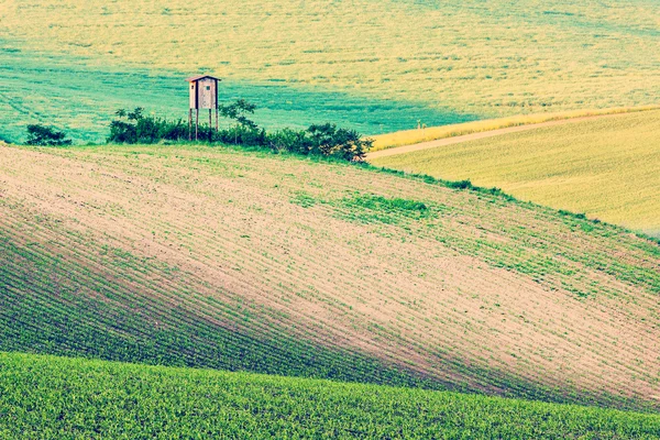 Moravia paisaje rodante con choza — Foto de Stock