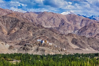 Thiksey Manastırı. Ladakh, Hindistan