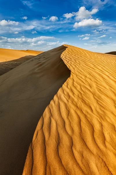 Duny v poušti Thar — Stock fotografie