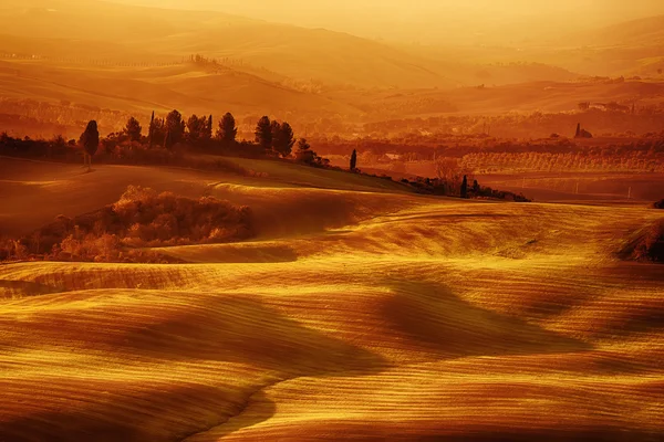 Vågiga fält i Toscana — Stockfoto