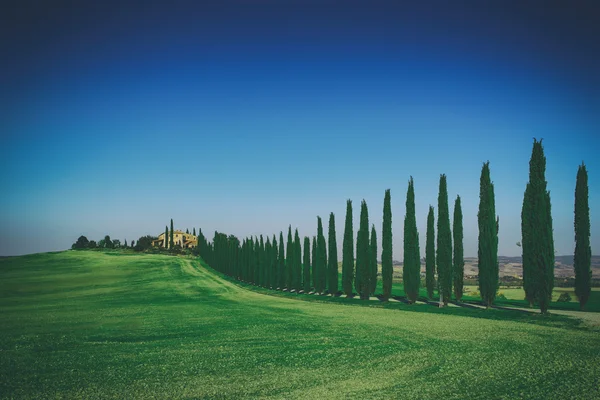 Paisaje típico Toscana — Foto de Stock