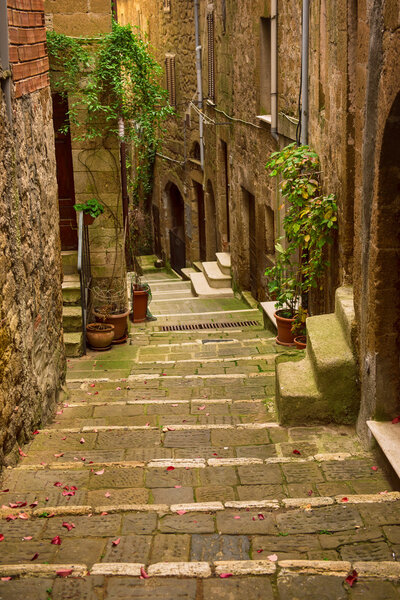 Narrow street of medieval tuff city Pitigliano with green plants and cobblestone stairs, travel Italy vintage background