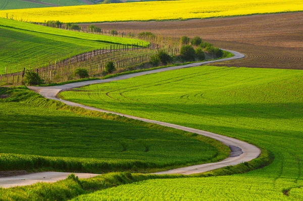 도로 가 있는 시골 풍경 — 스톡 사진