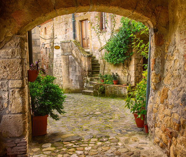 Narrow street of medieval tuff city Sorano with arch, green plants and cobblestone, travel Italy background