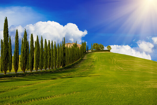 Типичный пейзаж Тосканы