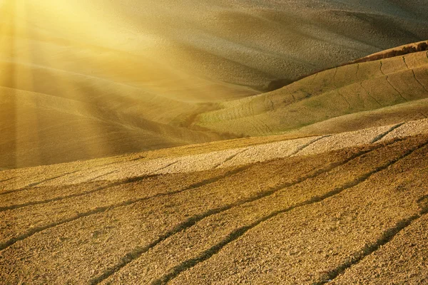 Campos ondulados em Toscana — Fotografia de Stock