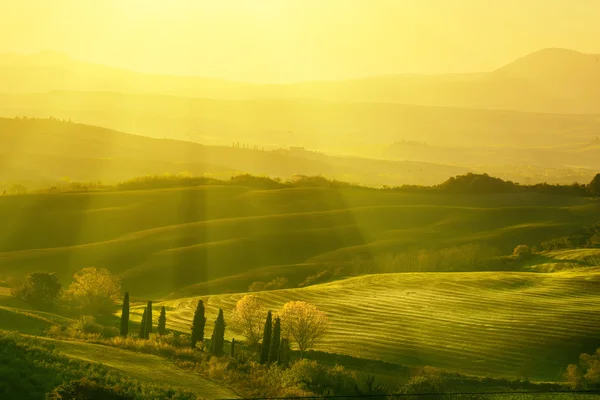 Golvende velden in Toscane — Stockfoto