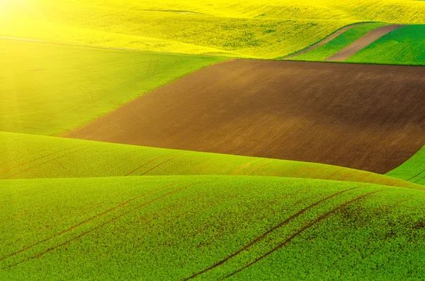 Paisagem rural — Fotografia de Stock