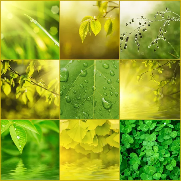 Зеленый эко-коллаж — стоковое фото