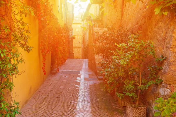 Straße von Pienza — Stockfoto