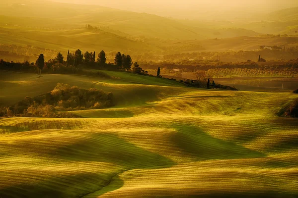 Wellenförmige Felder in der Toskana — Stockfoto