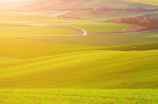 Paisagem rural — Fotografia de Stock