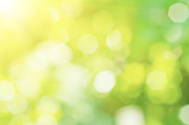 güneşli doğa arka plan