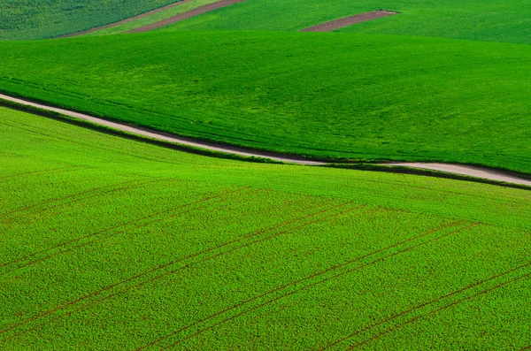 Paisagem rural com estrada — Fotografia de Stock