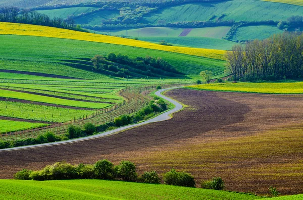 Paisagem rural com estrada — Fotografia de Stock