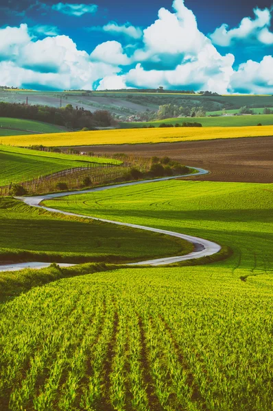 Peisaj rural cu drum — Fotografie, imagine de stoc