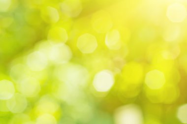 Doğal güneşli bokeh