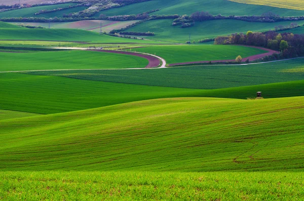 Venkovská jarní krajina — Stock fotografie