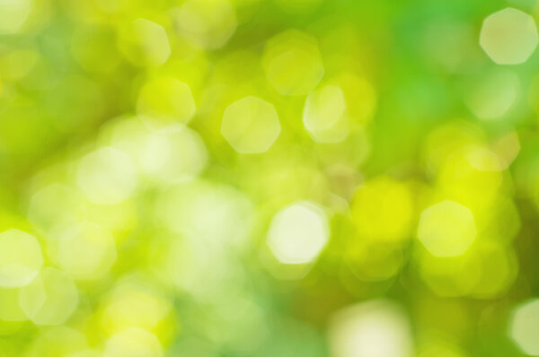 Солнечный фон
