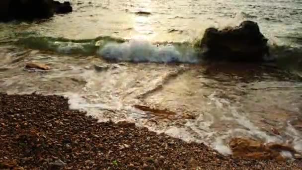 Zee surfen aan de kust — Stockvideo