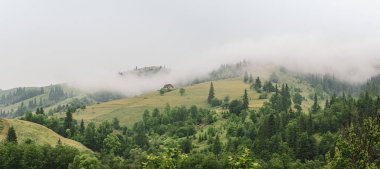 Yeşil bir dağ yamacında küçük bir ev