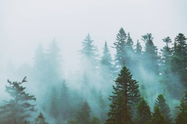 Sisli dağ manzarası