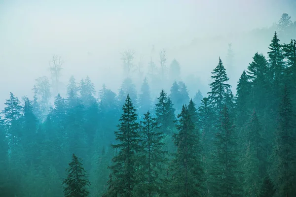Ködös hegyvidéki táj — Stock Fotó