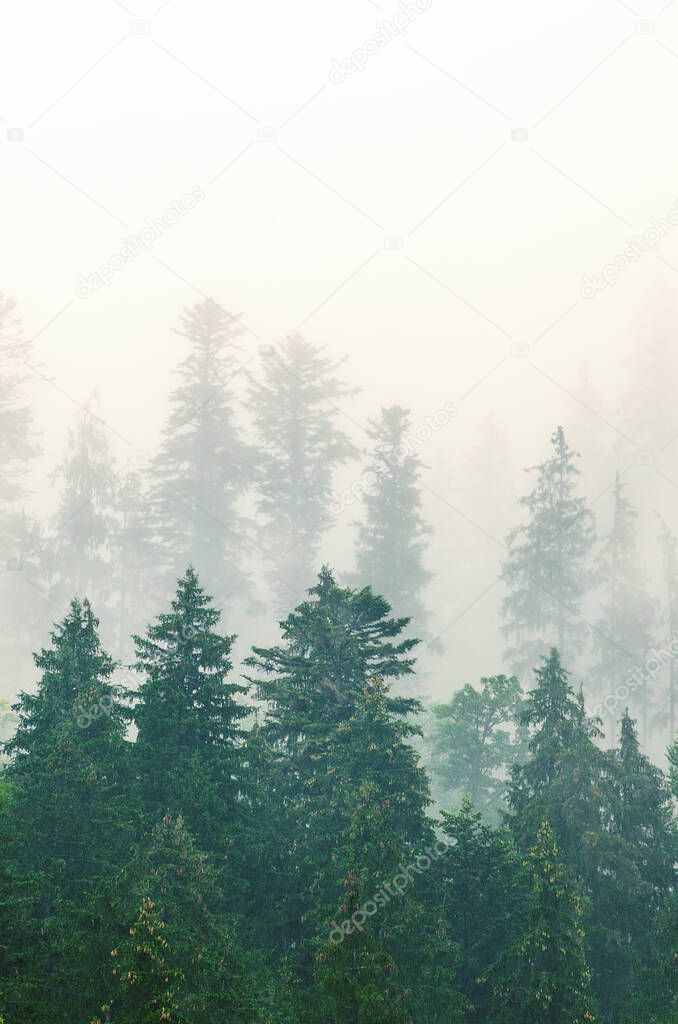 Misty mountain landscape