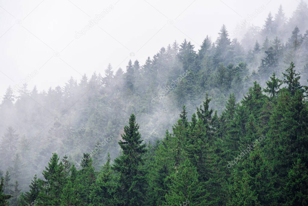 Misty mountain landscape