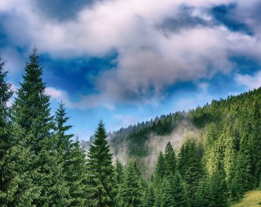 Sisli dağ manzarası