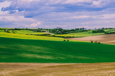 Kırsal ilkbahar manzarası