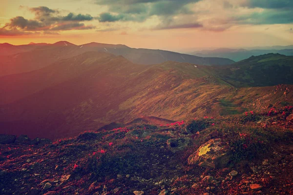 Amazing mountain landscape — Stock Photo, Image