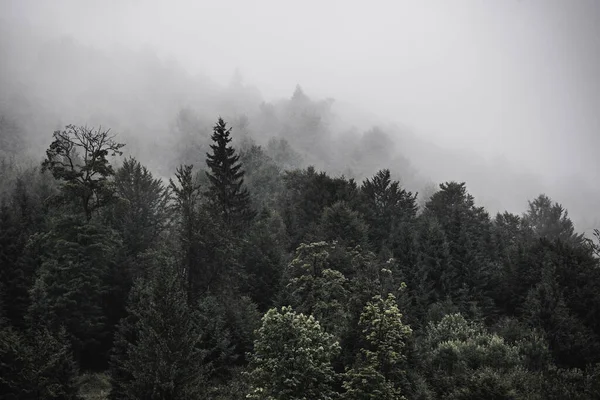 Misty paisaje de montaña — Foto de Stock