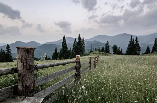 Mountain summer landscape — Stock Photo, Image