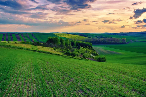 Rural spring landscape — Stock Photo, Image