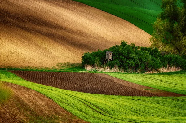 Venkovská jarní krajina — Stock fotografie