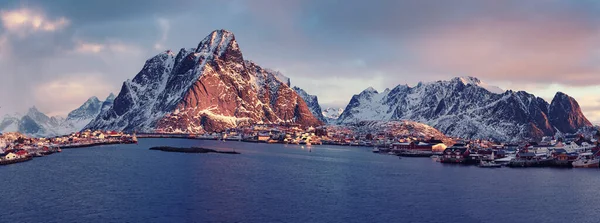 Reine bij zonsopgang — Stockfoto