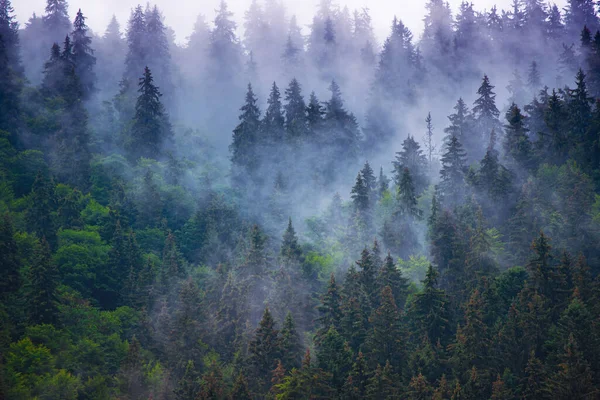 Misty berglandschap — Stockfoto