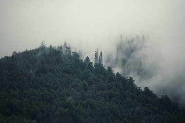Sisli dağ manzarası