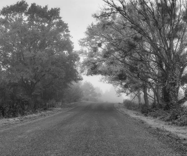 Camino a la niebla — Foto de Stock