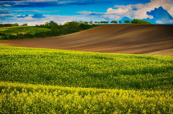 Ländliche Frühlingslandschaft — Stockfoto