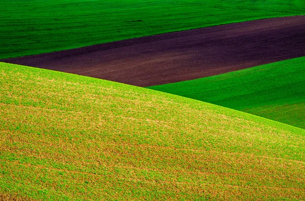 緑の草原の背景 — ストック写真