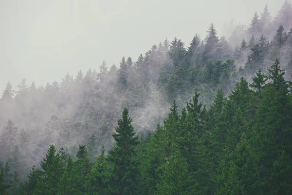 Nebelige Berglandschaft — Stockfoto