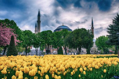 İstanbul 'daki Mavi Cami