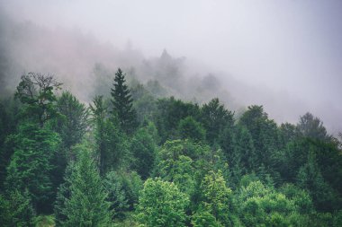 Sisli dağ manzarası