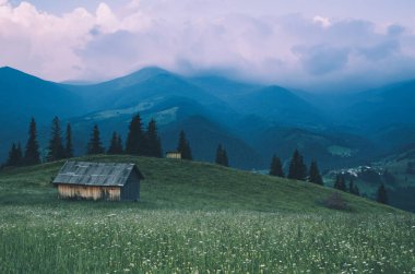 Karpatya dağ manzarası